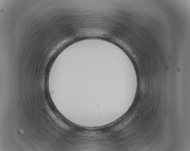 X0000085080629200704021437