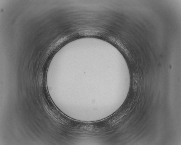 X0000085080631200704021437