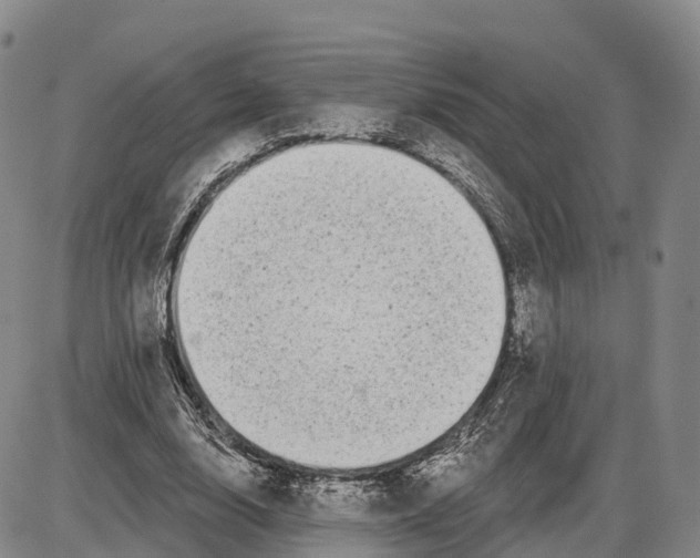 X0000085080632200704021437