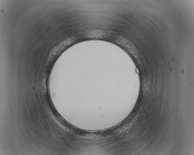 X0000085080633200704021437