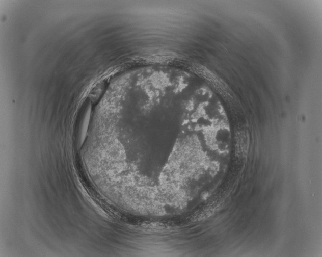 X0000085080634200704021437