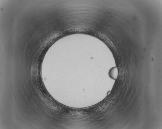 X0000085080635200704021438