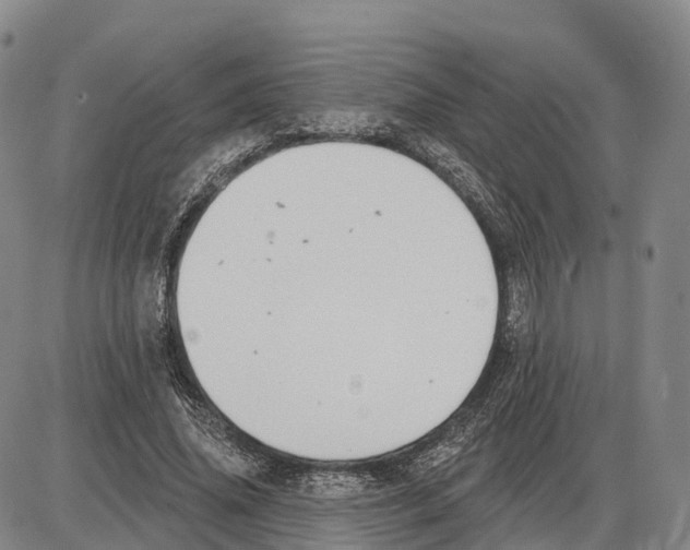 X0000085080636200704021438