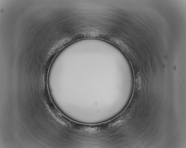 X0000085080638200704021438