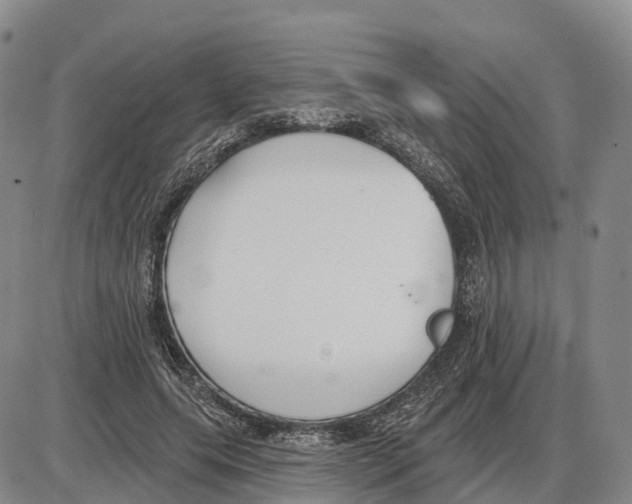 X0000085080639200704021438