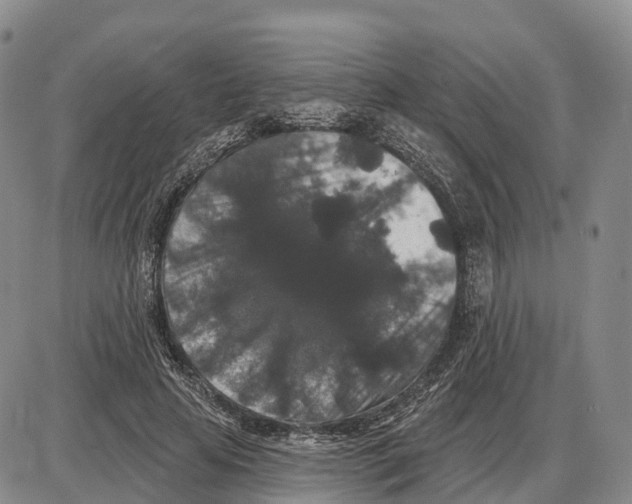 X0000085080641200704021438