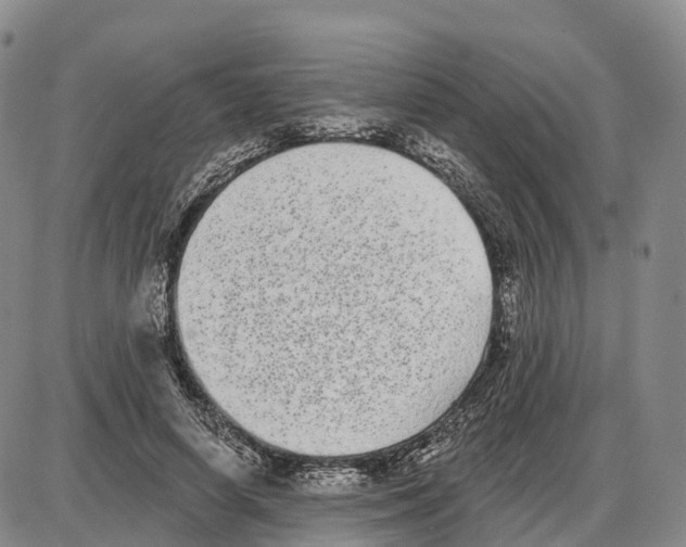 X0000085080642200704021438