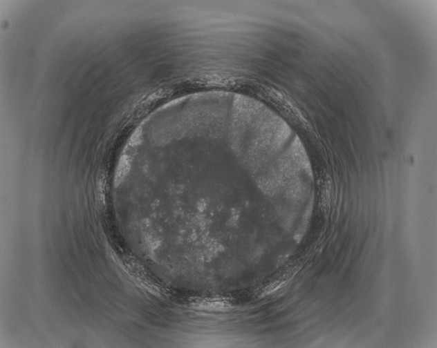 X0000085080643200704021438