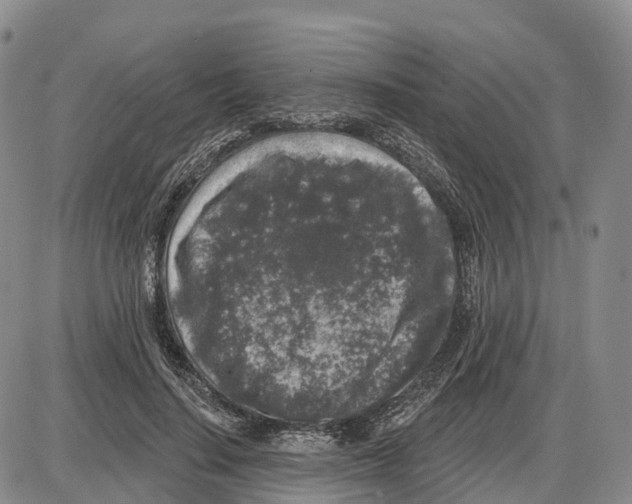 X0000085080644200704021438