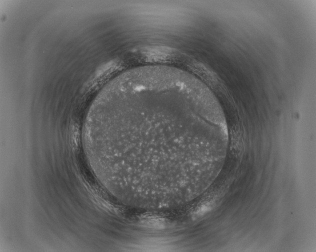 X0000085080648200704021438