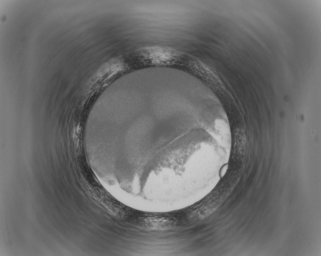 X0000085080650200704021438