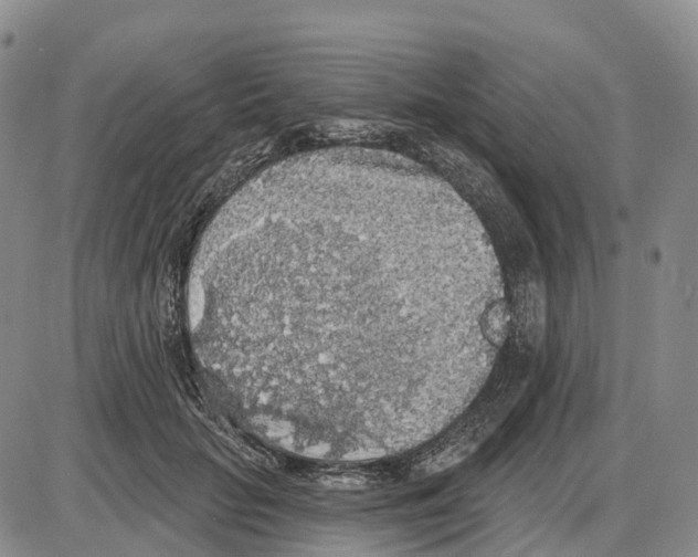 X0000085080653200704021438