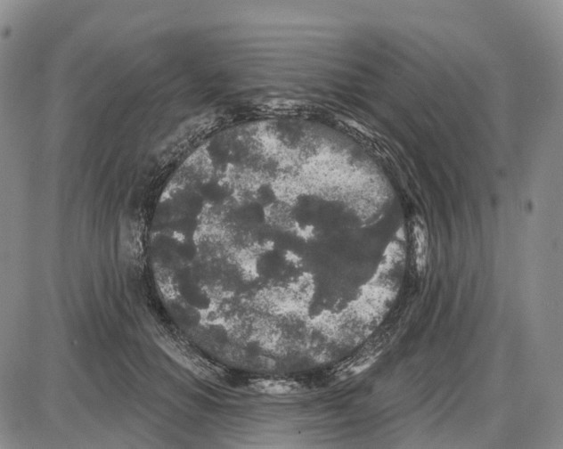 X0000085080654200704021438