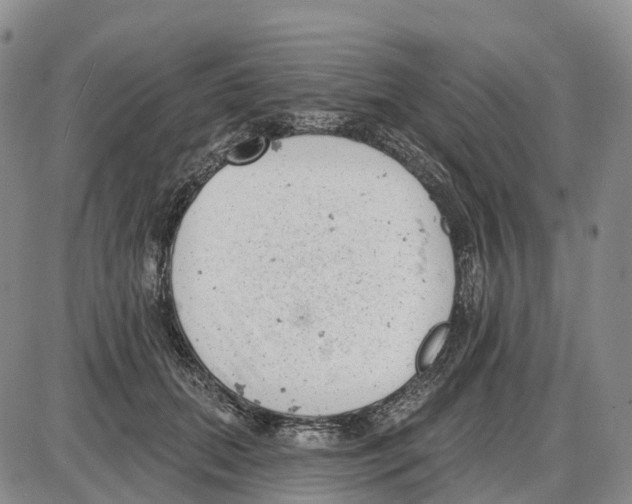 X0000085080655200704021438