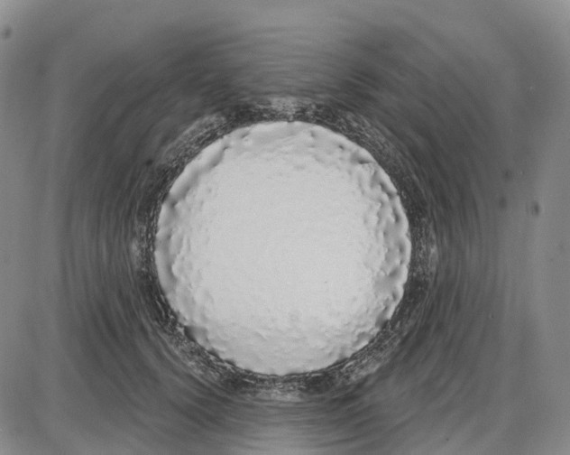 X0000085080656200704021438