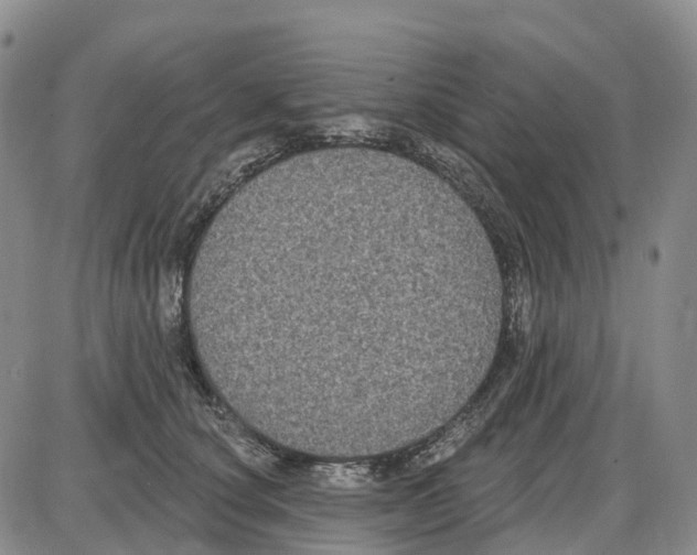 X0000085080660200704021438