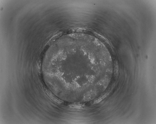 X0000085080661200704021438