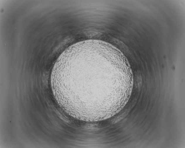 X0000085080664200704021438