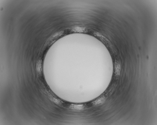 X0000085080665200704021438