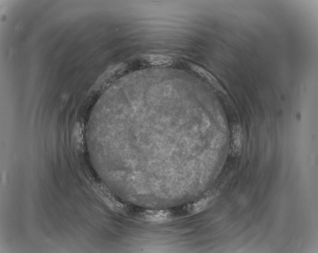 X0000085080667200704021438