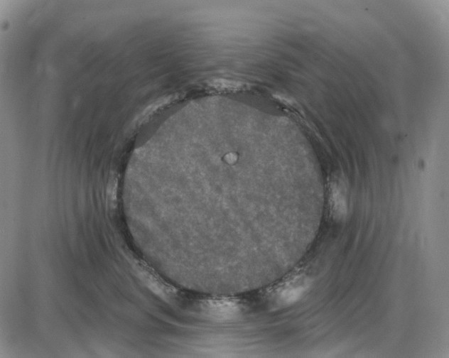 X0000085080668200704021438