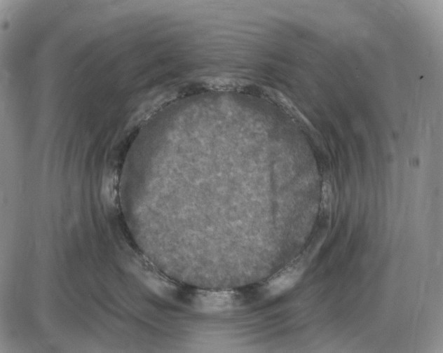 X0000085080671200704021438