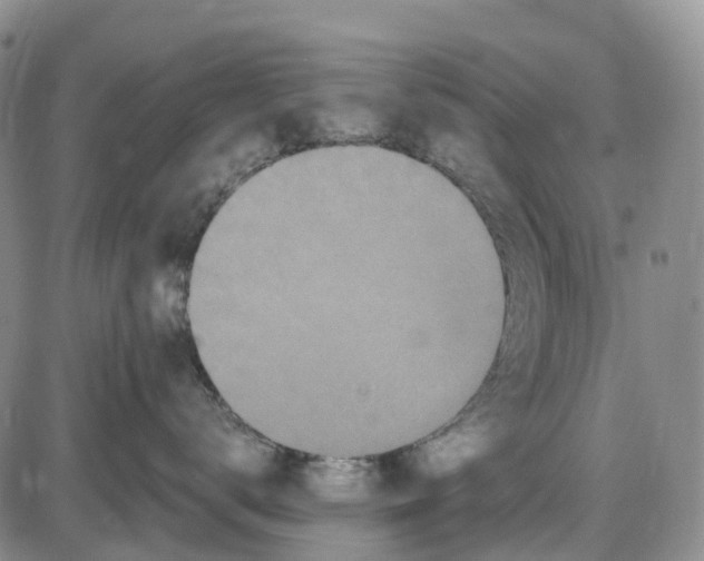 X0000085080672200704021438