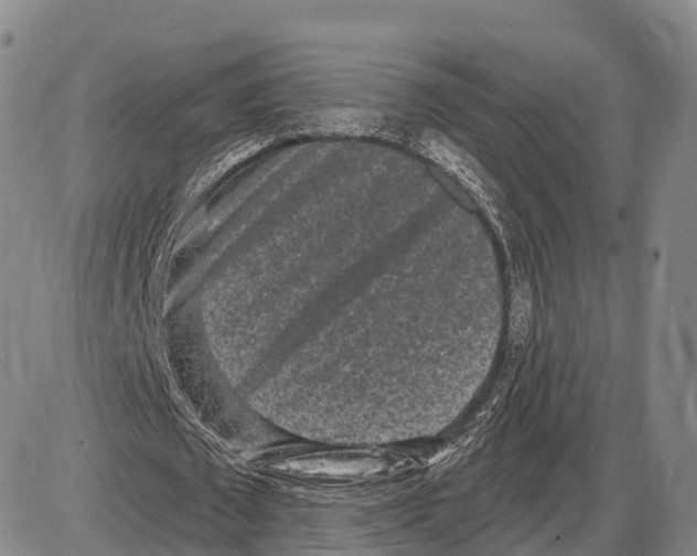 X0000085080673200704021437