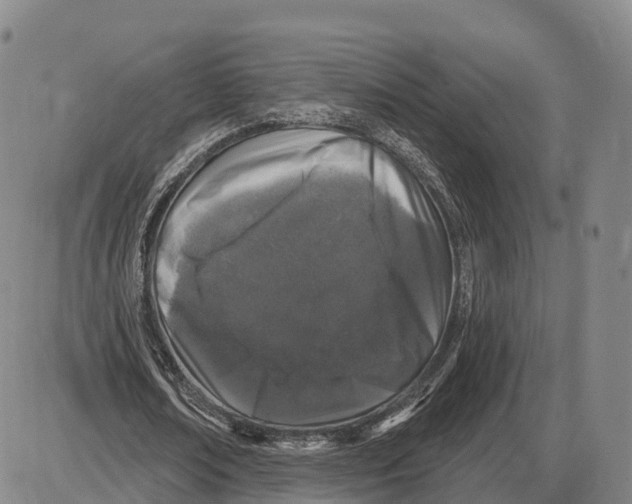 X0000085080674200704021437