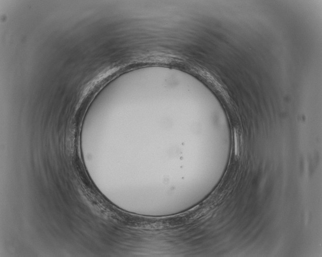 X0000085080675200704021437