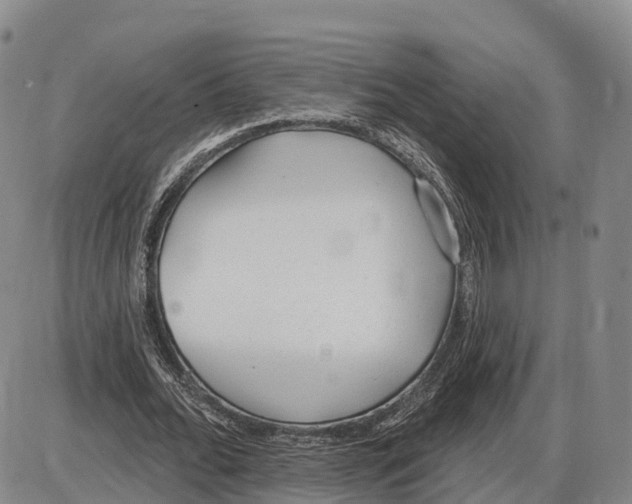 X0000085080676200704021437