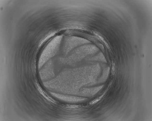 X0000085080677200704021437