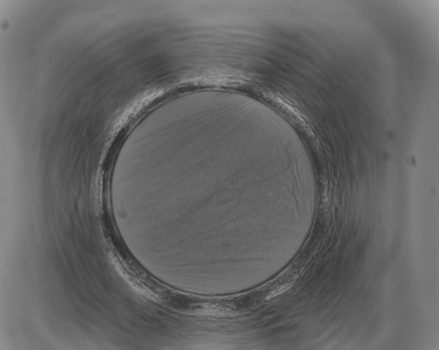 X0000085080678200704021437