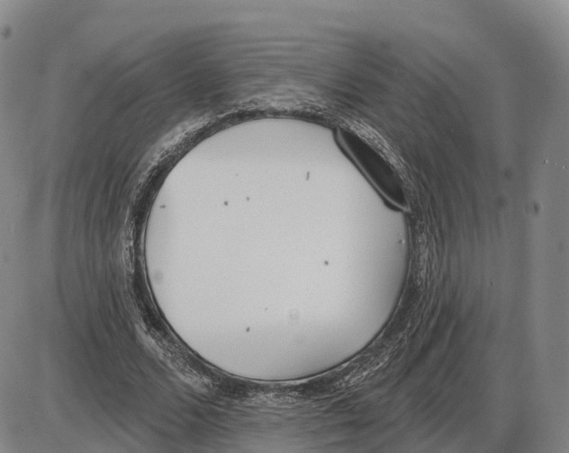 X0000085080680200704021437