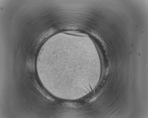 X0000085080681200704021437