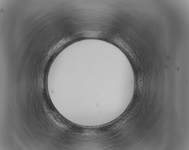 X0000085080682200704021437