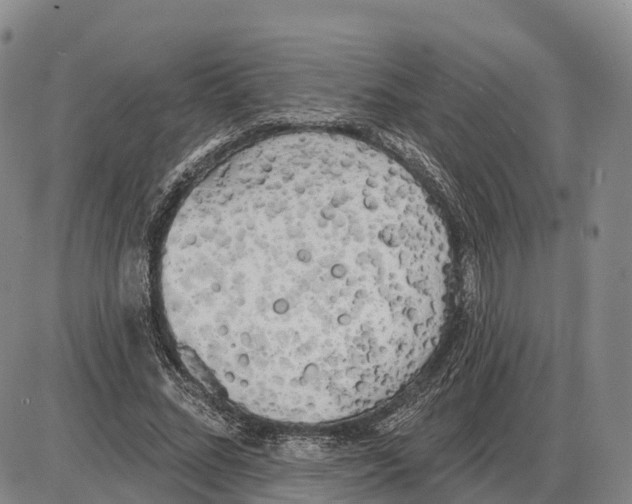 X0000085080684200704021437