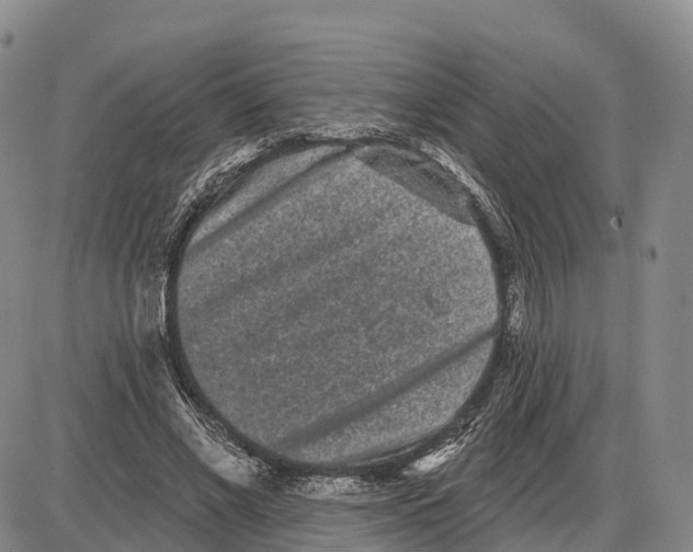 X0000085080685200704021437