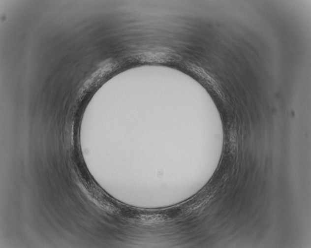 X0000085080686200704021437