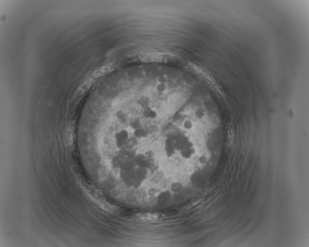 X0000085080687200704021437