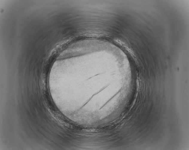 X0000085080688200704021437