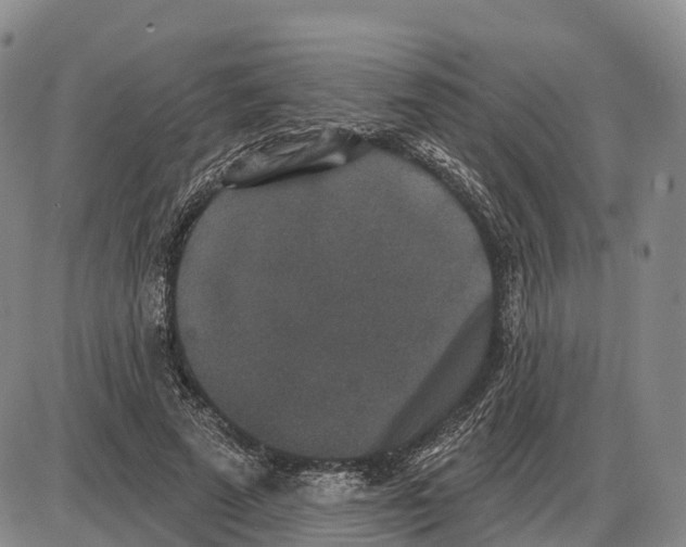 X0000085080689200704021437