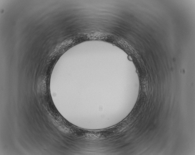 X0000085080690200704021437