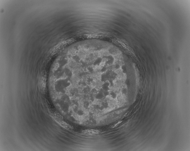 X0000085080691200704021437