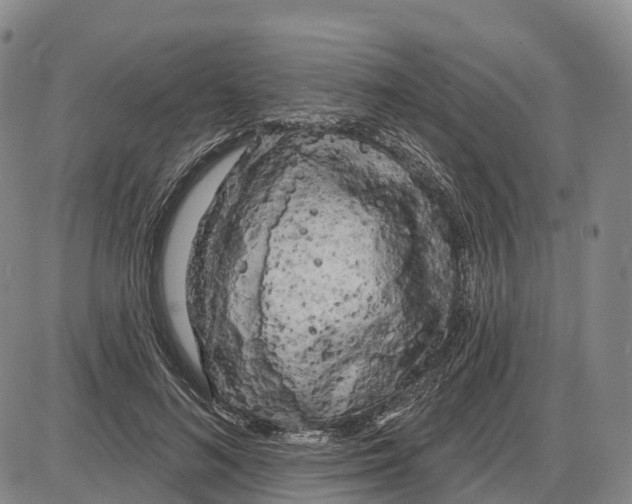 X0000085080692200704021437