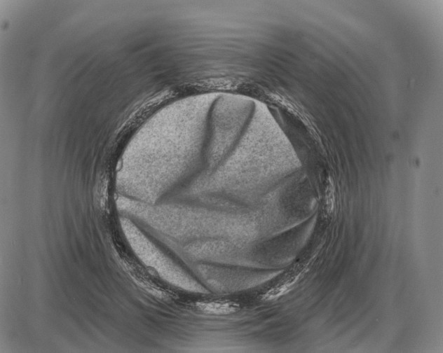 X0000085080693200704021437