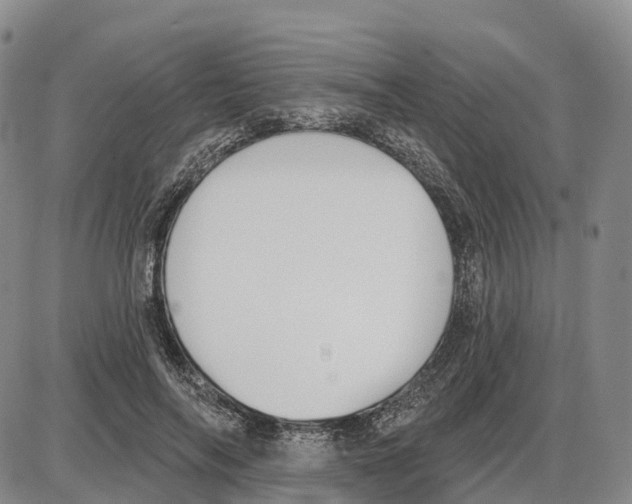 X0000085080694200704021437