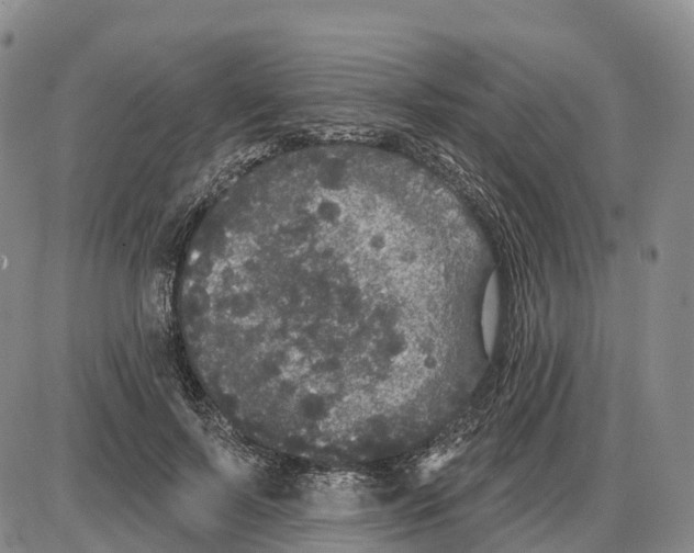 X0000085080695200704021437