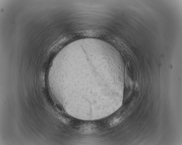 X0000085080696200704021437