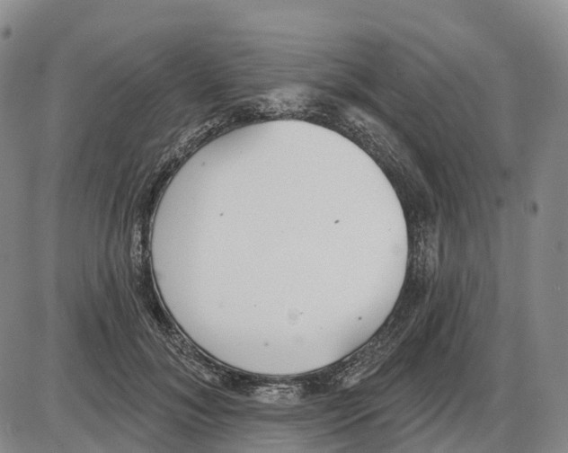 X0000085080700200704021437